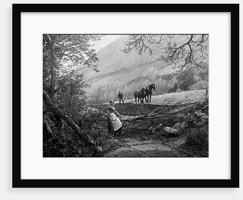 Ploughing in Sulby Glen, Isle of Man by George Bellett Cowen